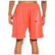 Grimey Ανδρικό σορτς Day Dreamer Sweatshorts